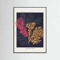 Affiche Coral Garden Paradise Garden – affiche et impression d’art