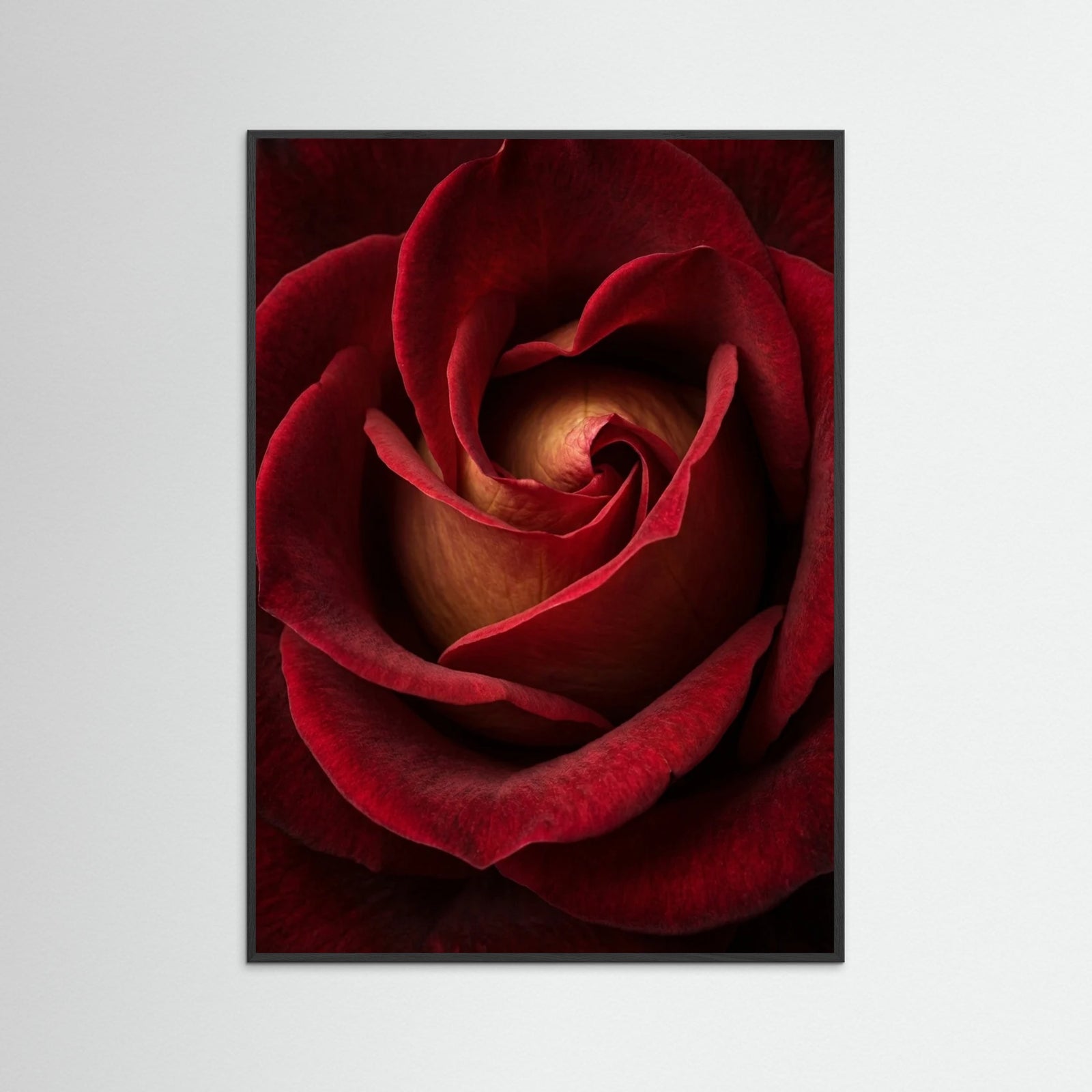 Black Wood Crimson Embrace