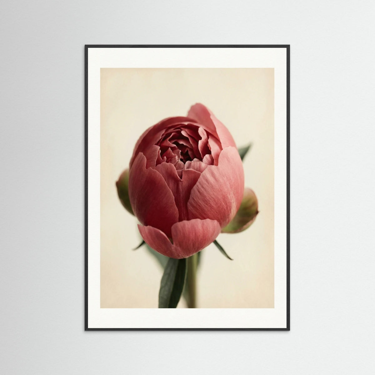 Black Wood Crimson Trio