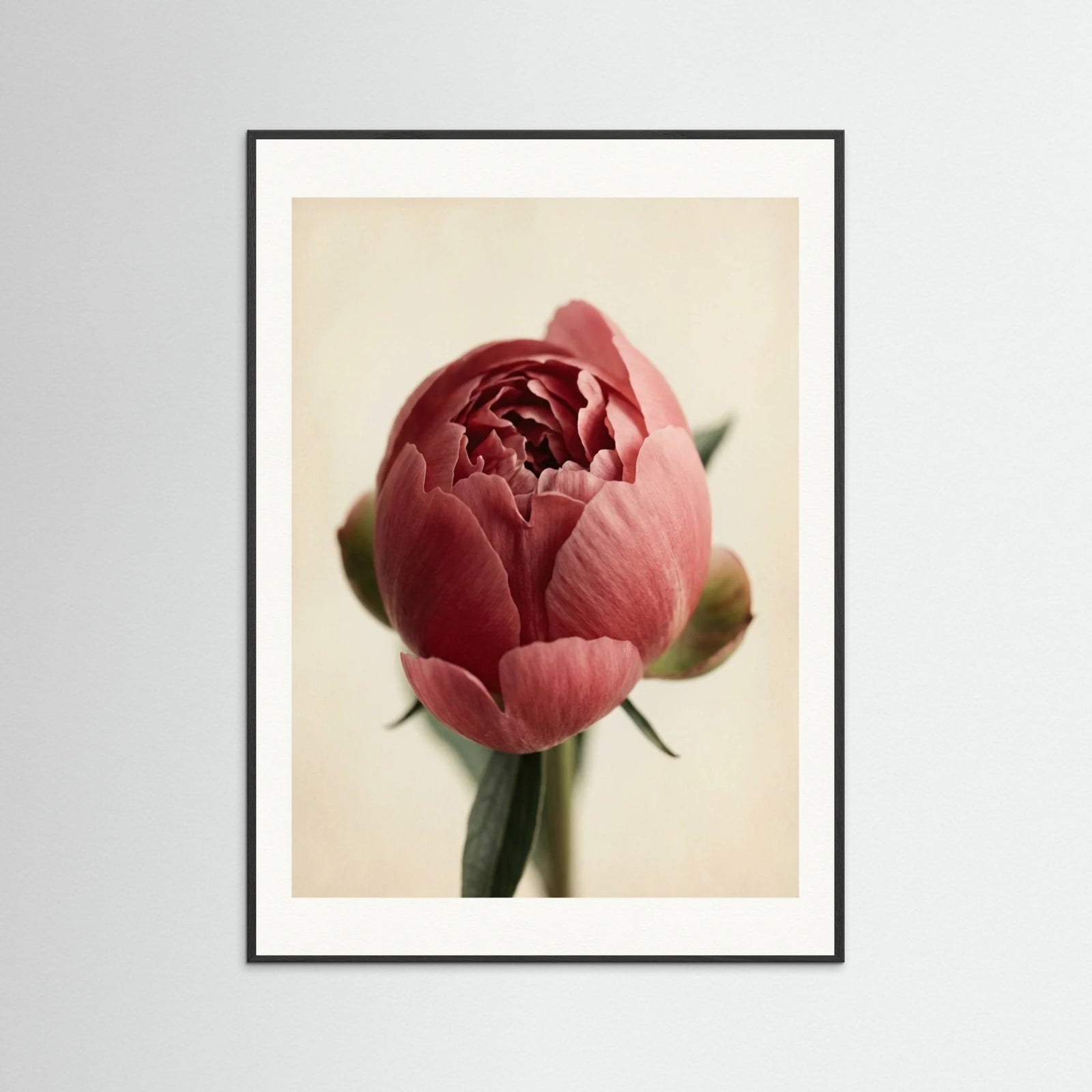 Black Wood Crimson Trio