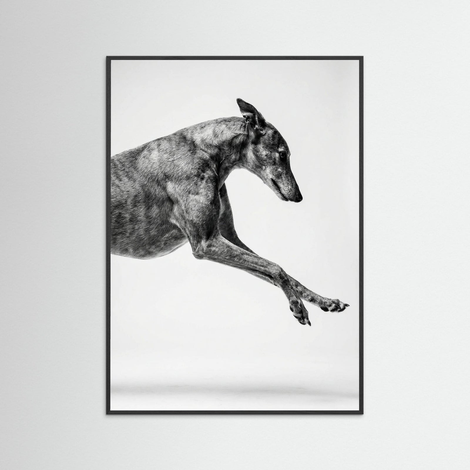 Black Wood Dancing Stripes