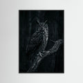 Black Wood Dark Congregation