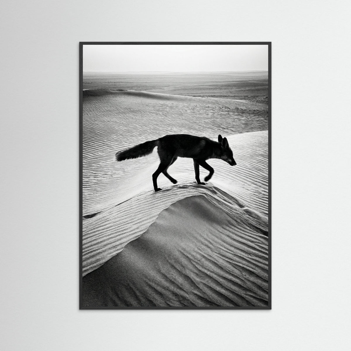 Black Wood Desert Spirit