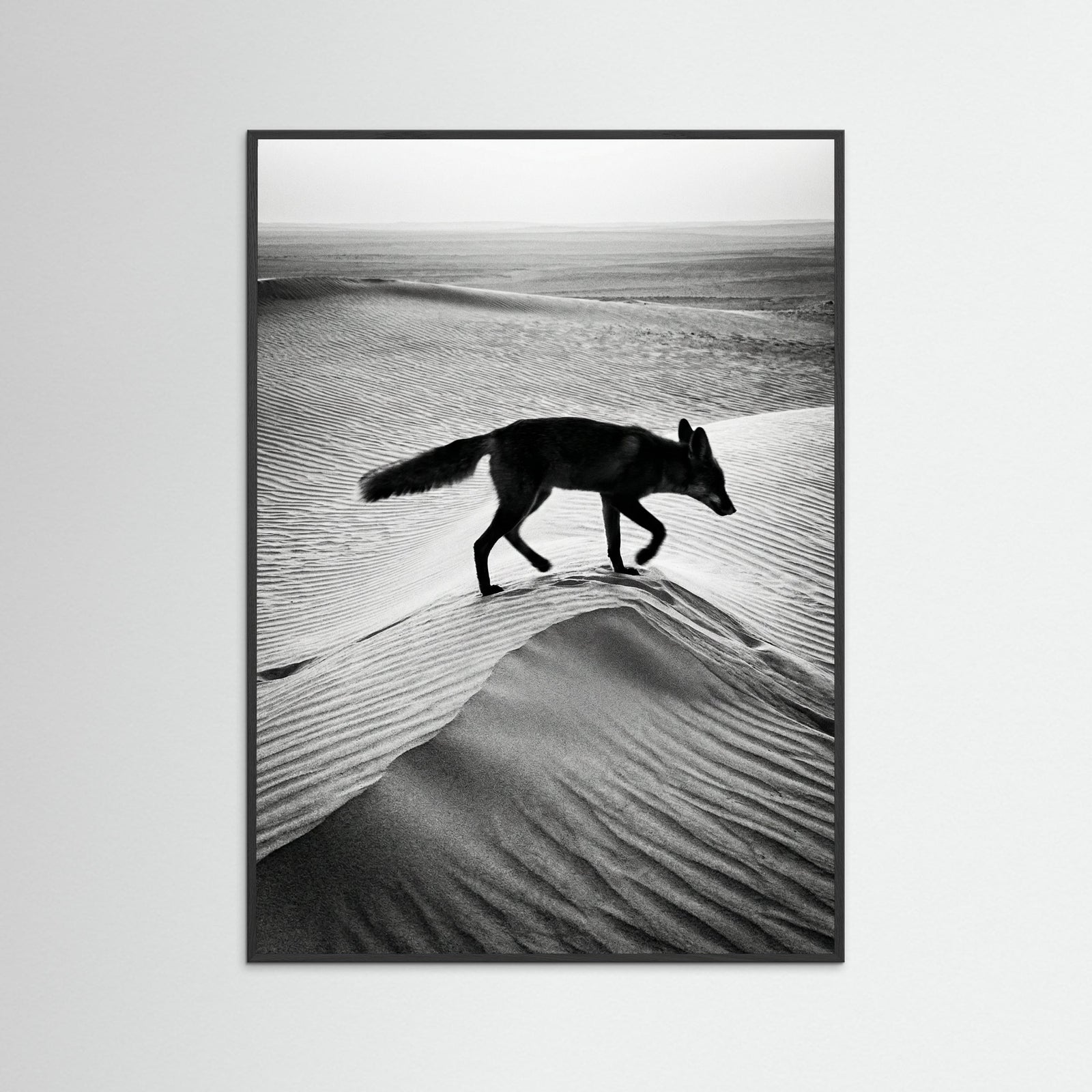 Black Wood Desert Spirit