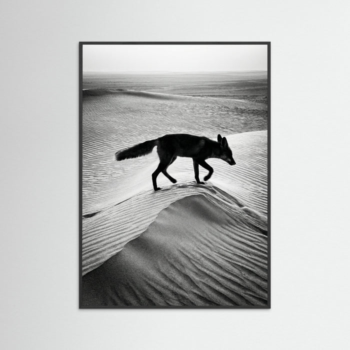 Black Wood Desert Spirit