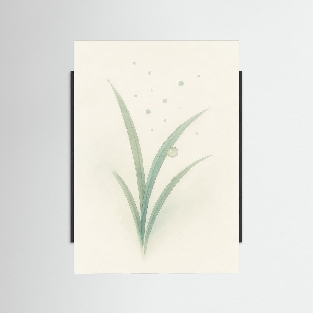 Black Wood Dewy Morning