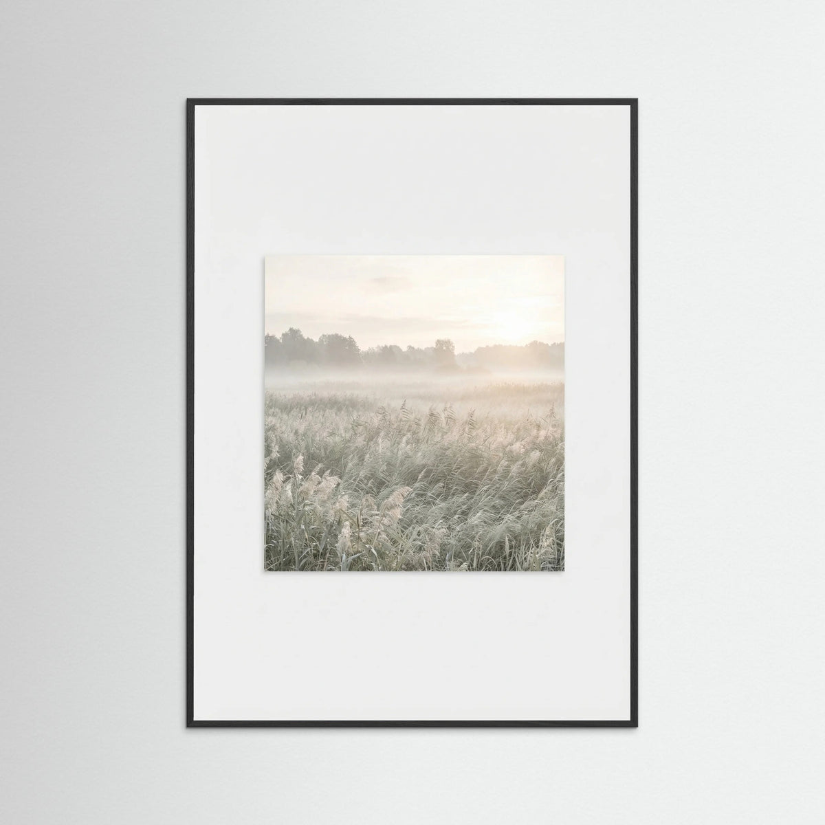 Black Wood Dune Sunset Serenity