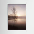 Black Wood Dusk Embrace