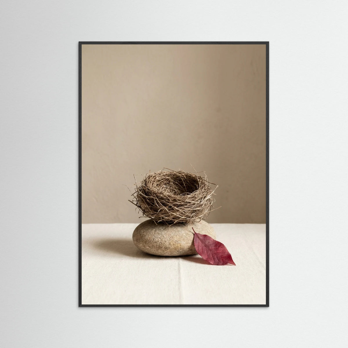 Black Wood Earthen Stillness