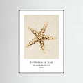 Affiche Estrella De Mar – affiche et impression d’art