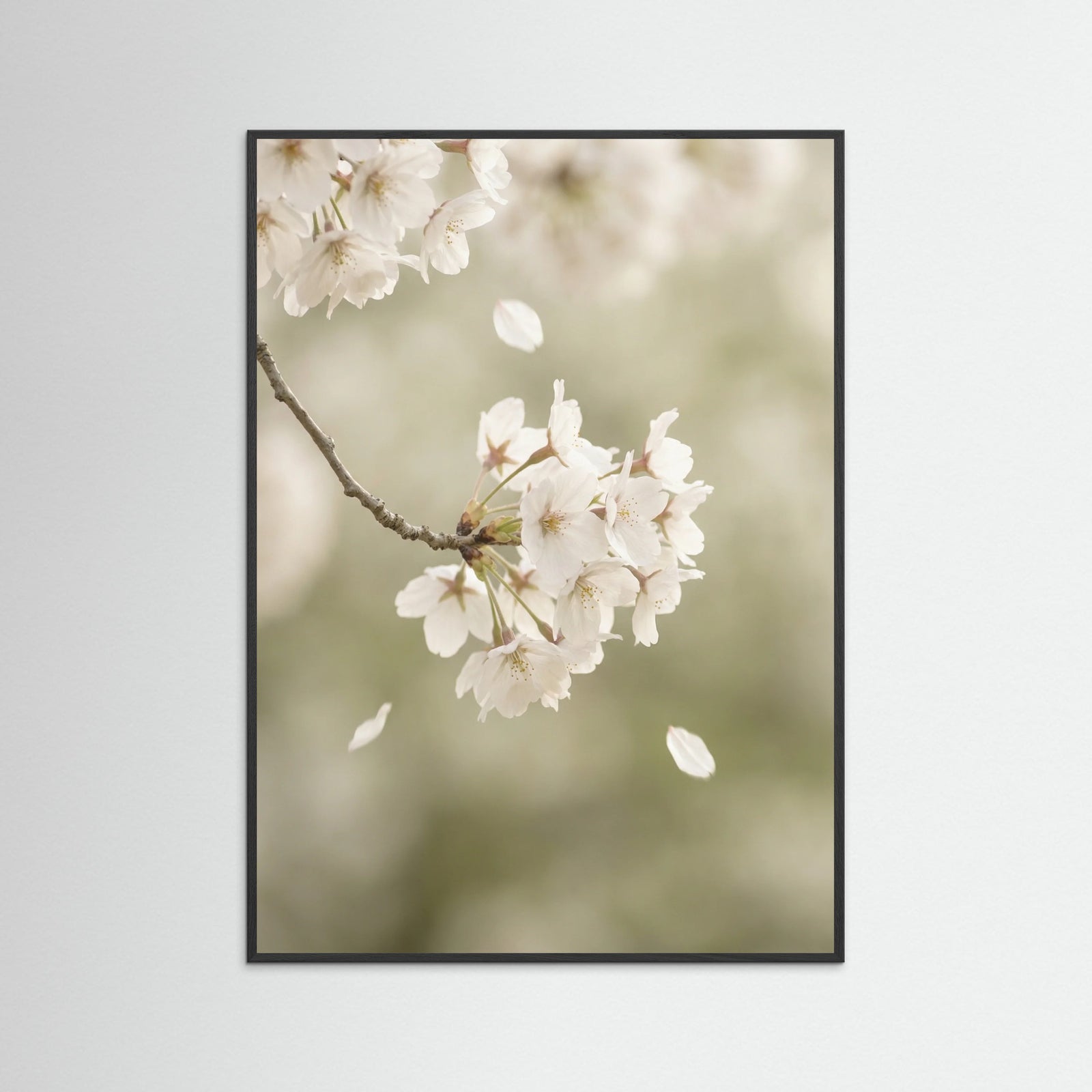 Black Wood Ethereal Bloom White