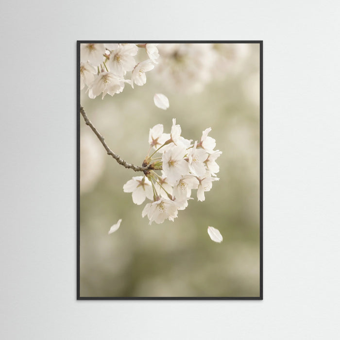 Black Wood Ethereal Bloom