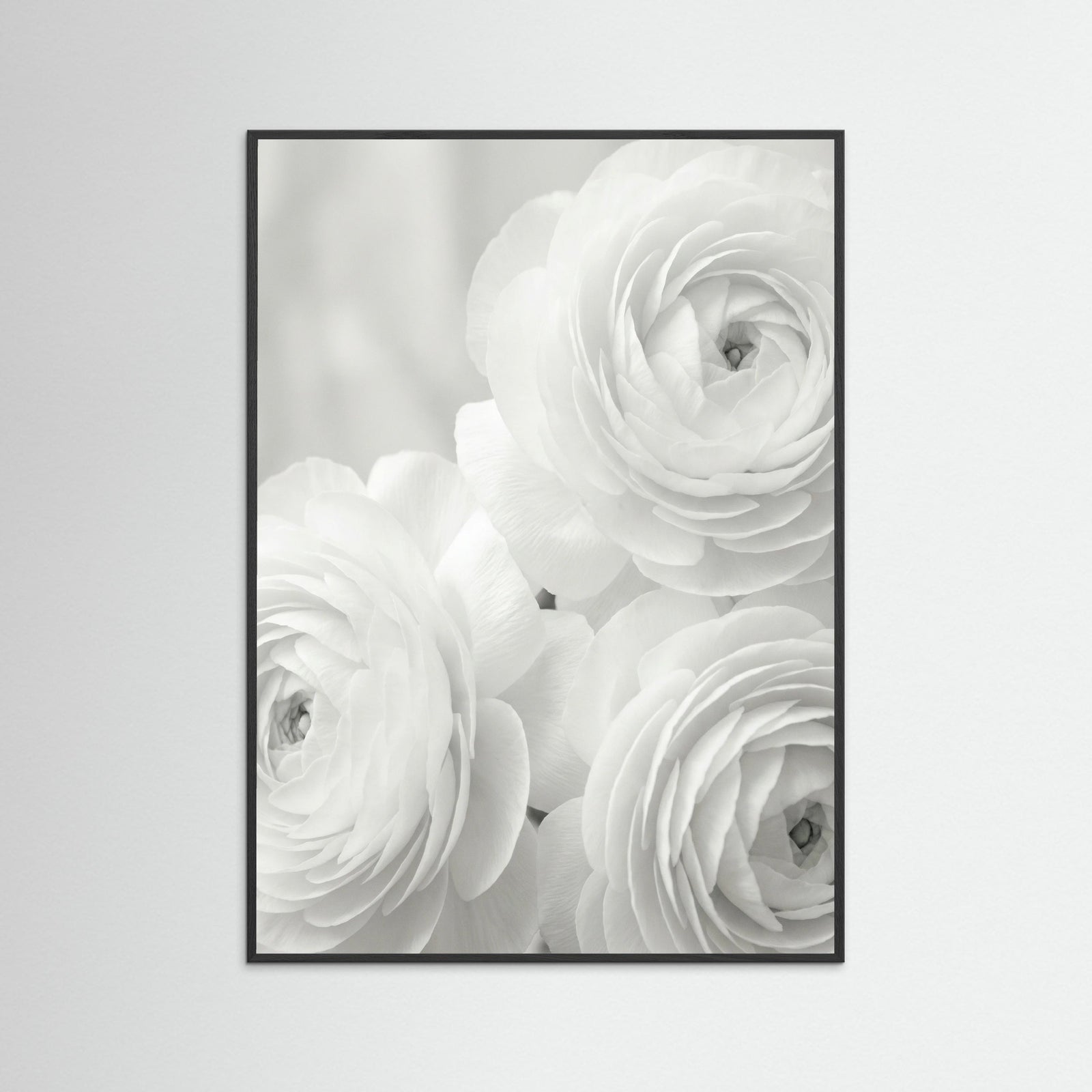 Black Wood Ethereal Bloom