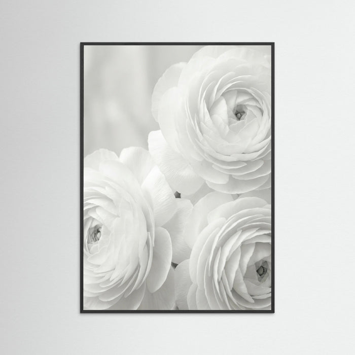 Black Wood Ethereal Bloom