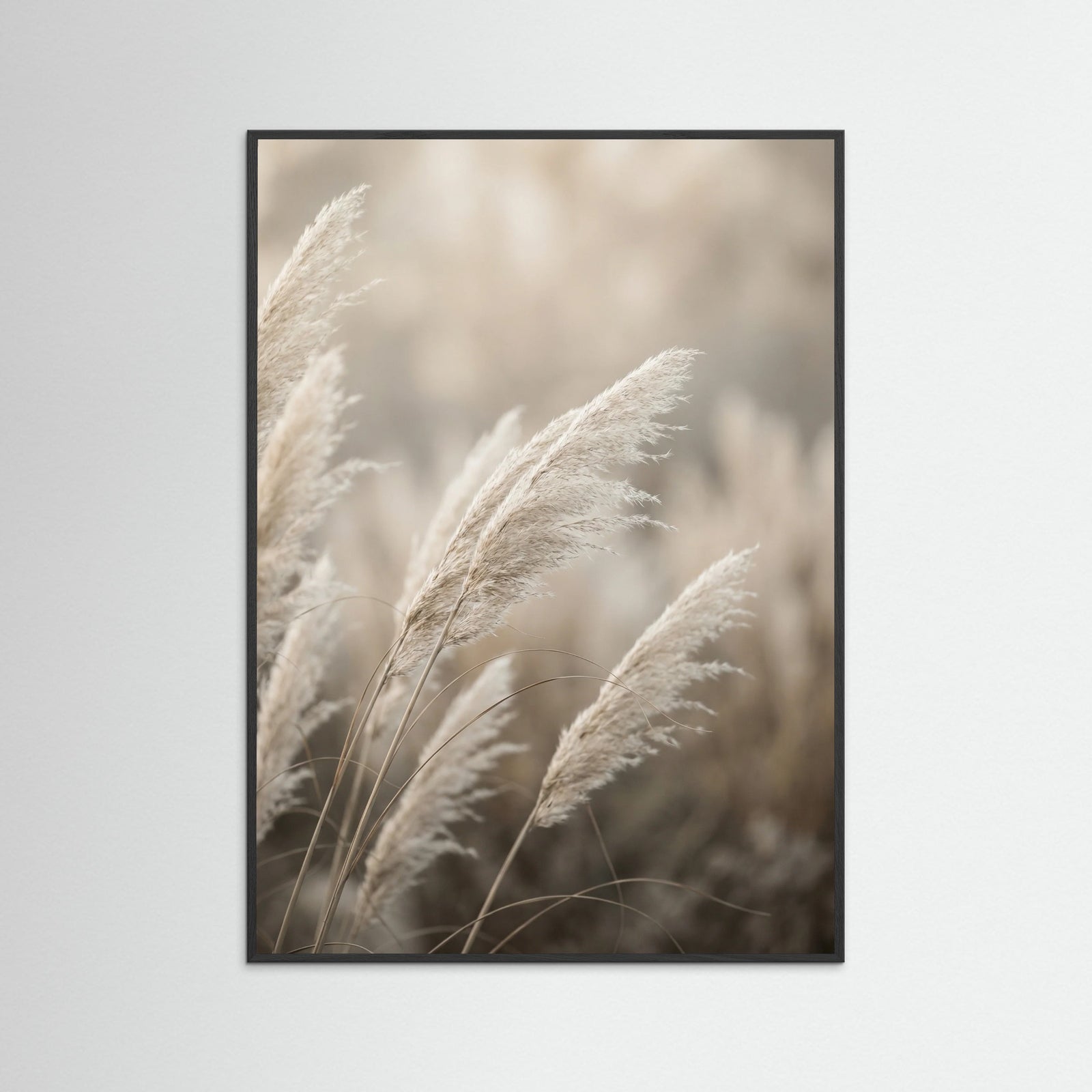 Black Wood Ethereal Field Bloom