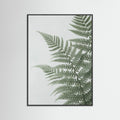 Black Wood Eucalyptus Serenity Green