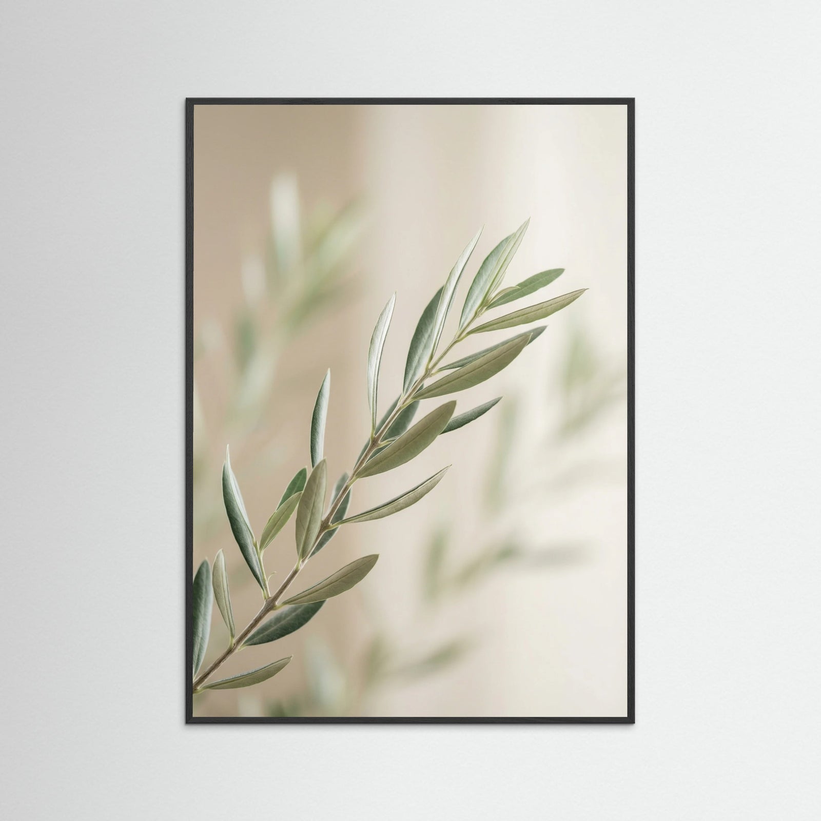 Black Wood Eucalyptus Serenity Green