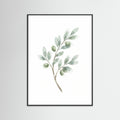 Black Wood Eucalyptus Serenity