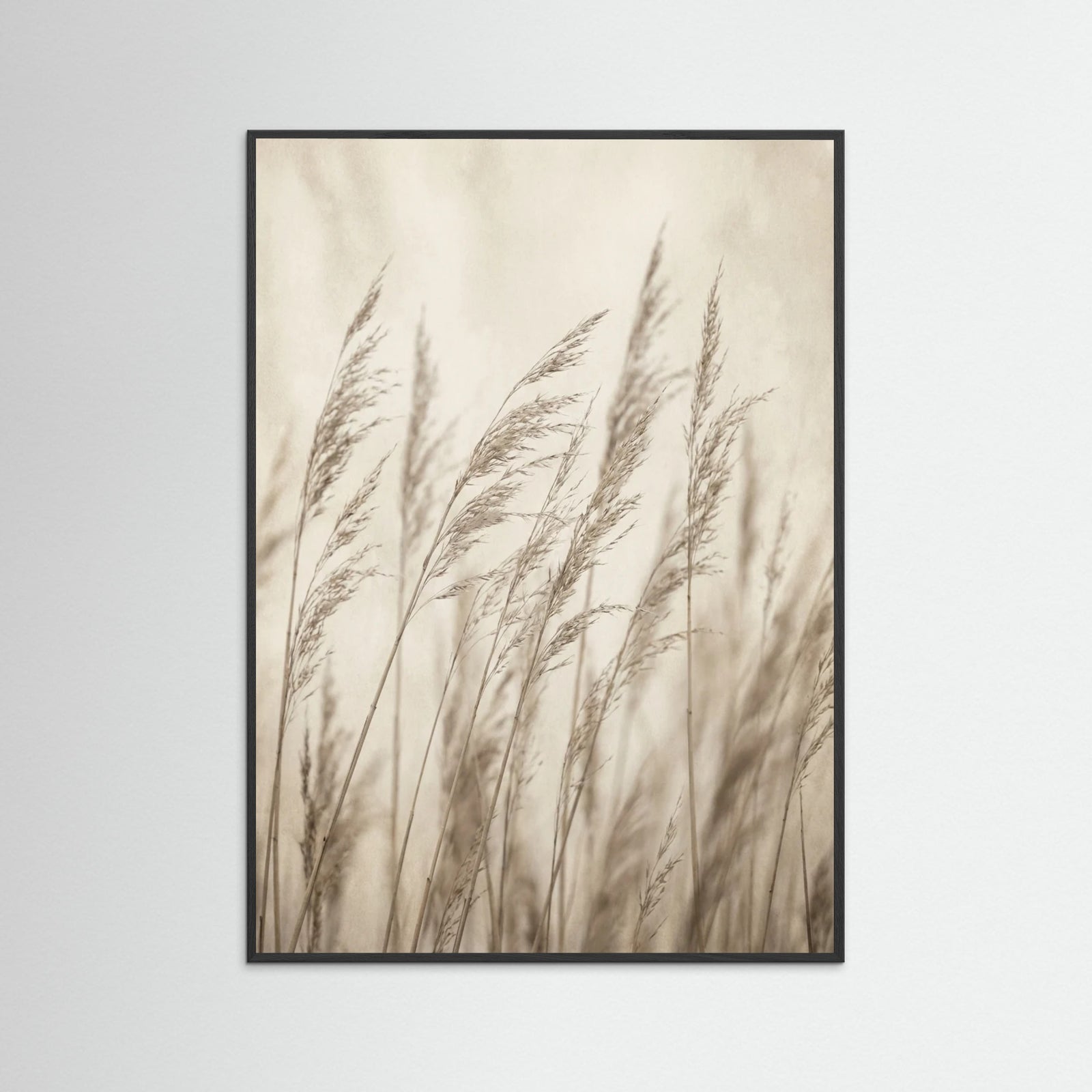 Black Wood Faded Grace