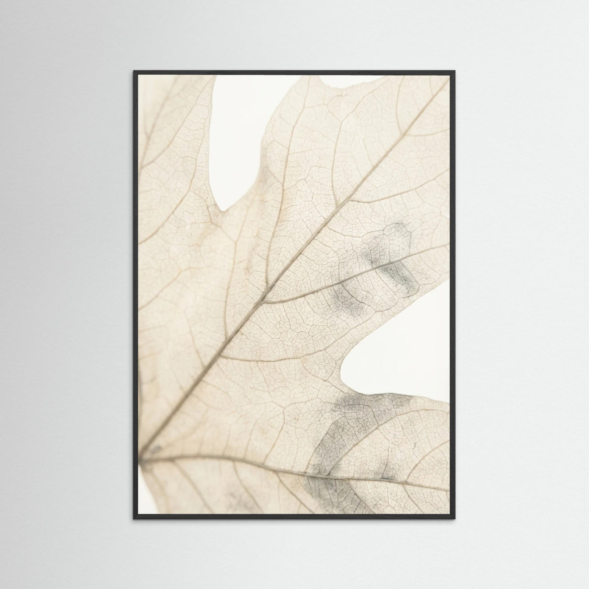 Black Wood Faded Petals