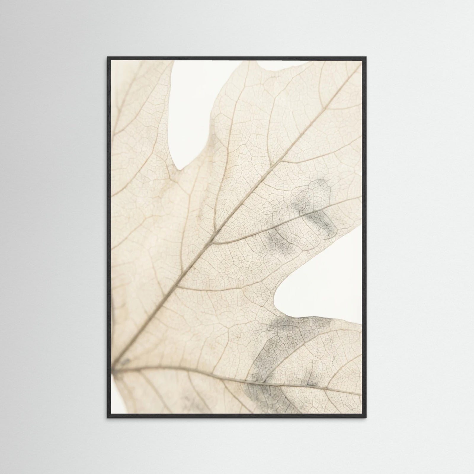 Black Wood Faded Petals