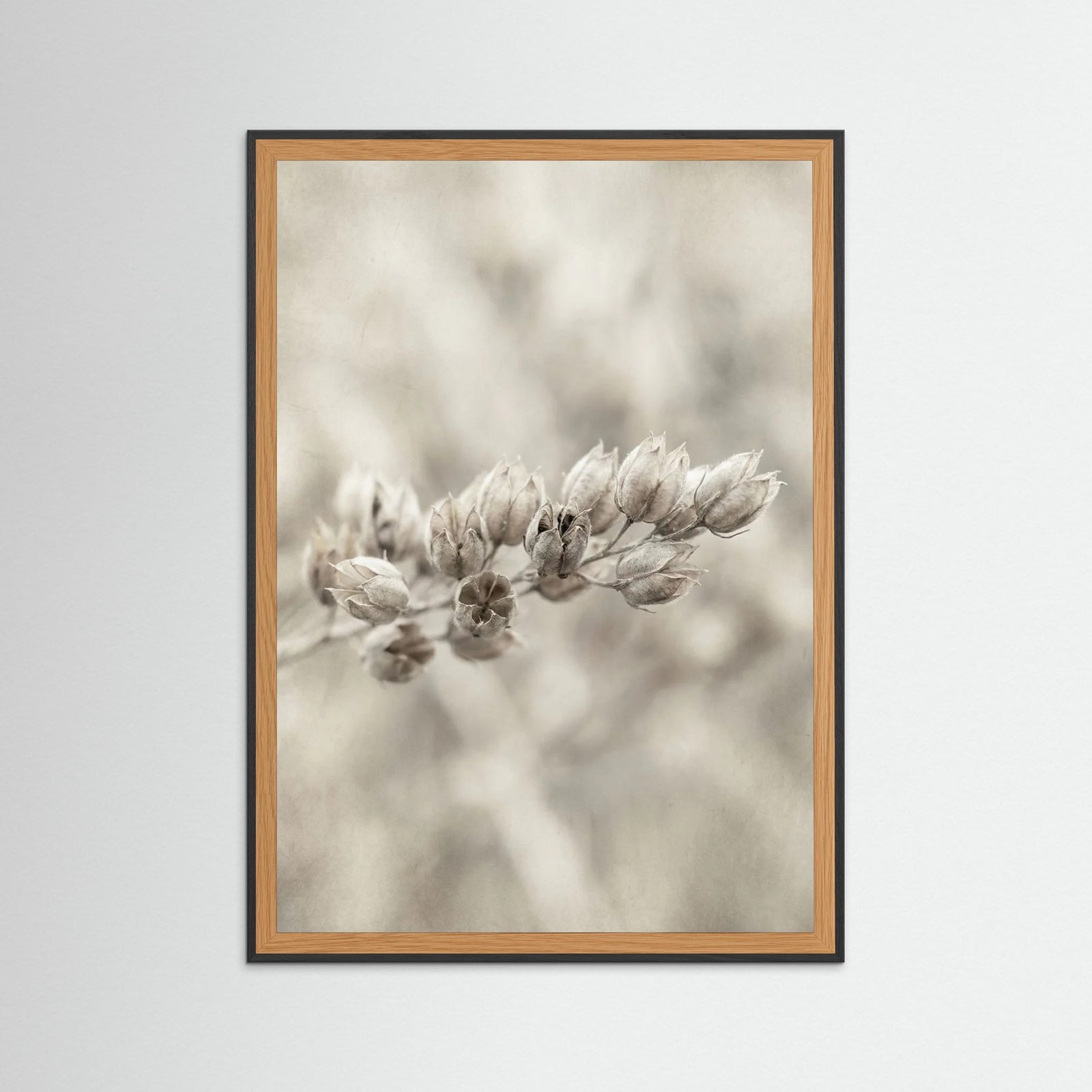 Black Wood Faded Whisper