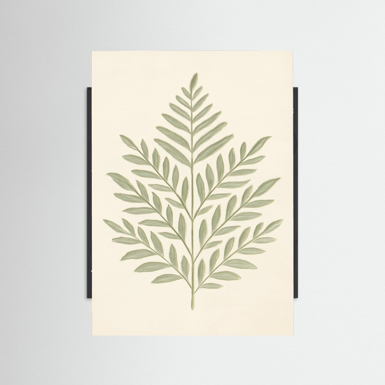 Black Wood Fern Serenity