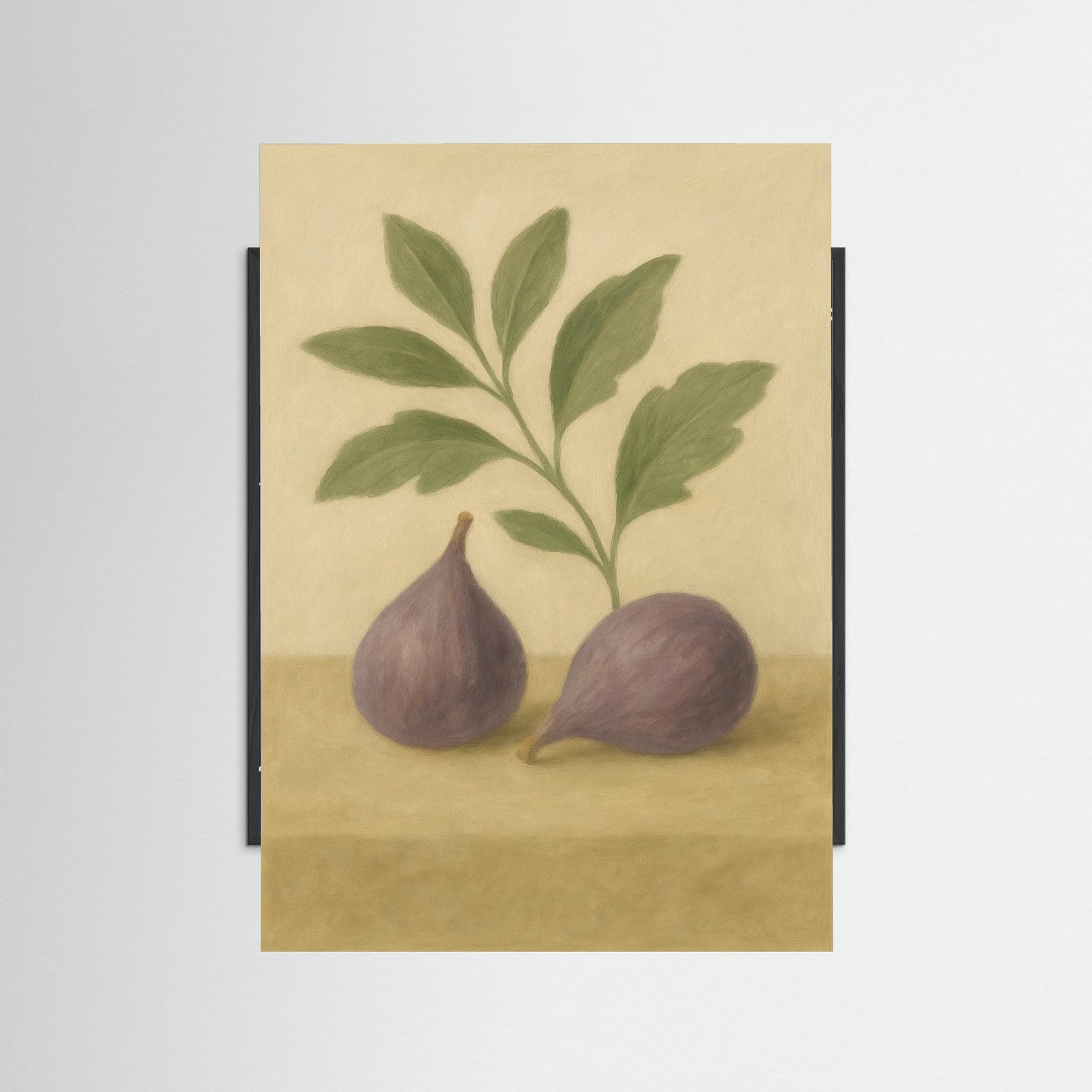Black Wood Fig study