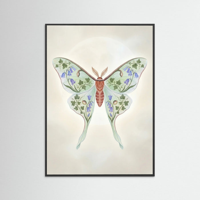 Black Wood Floral Moth Study
