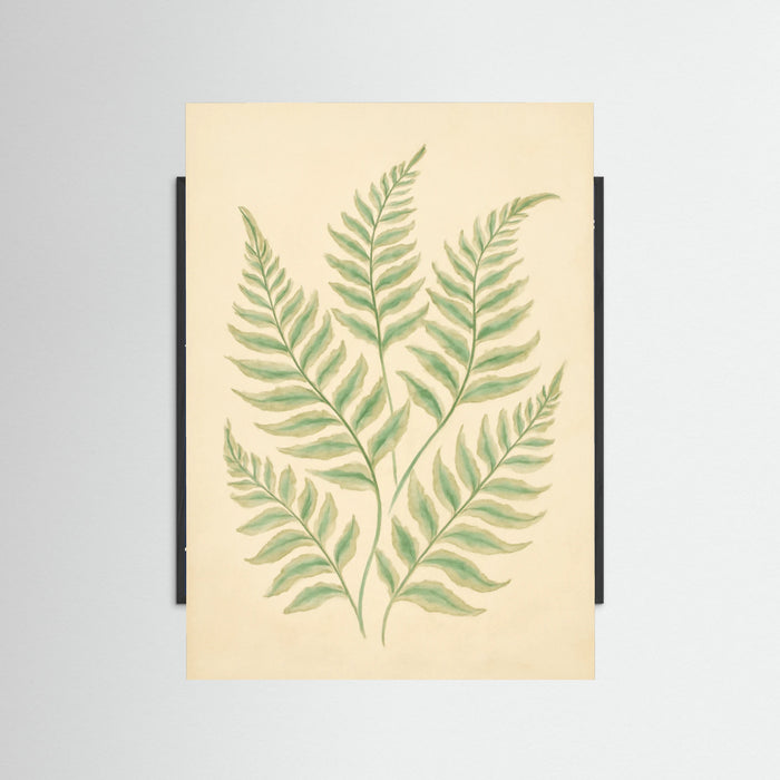 Black Wood Foliage Whisper