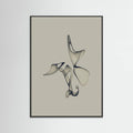Poster Free Torus - 1 – poster e stampa artistica
