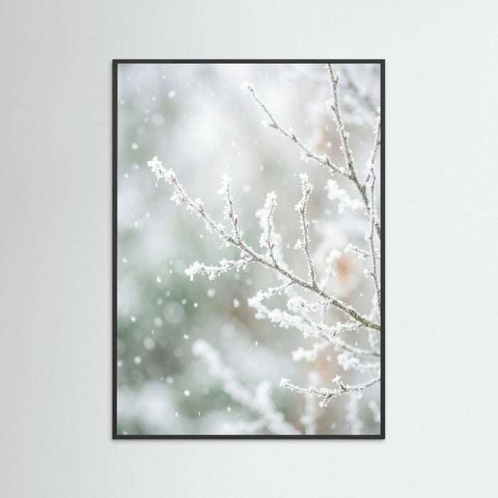 Black Wood Frosted Pines