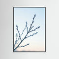Black Wood Frozen Whisper