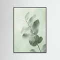 Black Wood Ginkgo Dew
