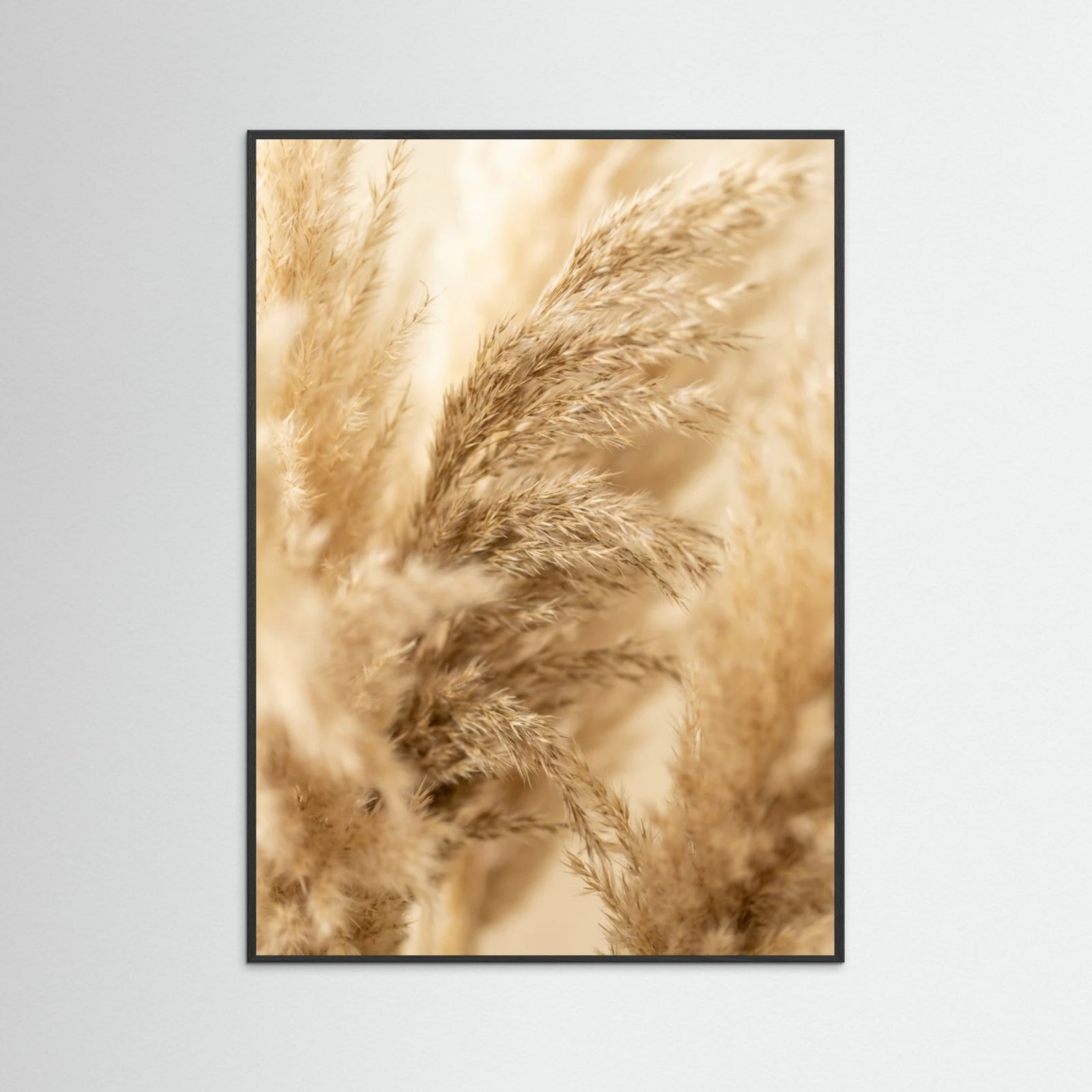 Black Wood Golden Fronds