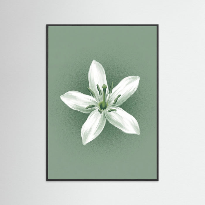 Black Wood Green Coffee Serenity