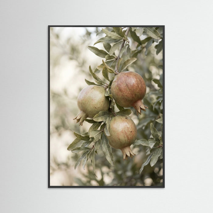 Black Wood Green Olives