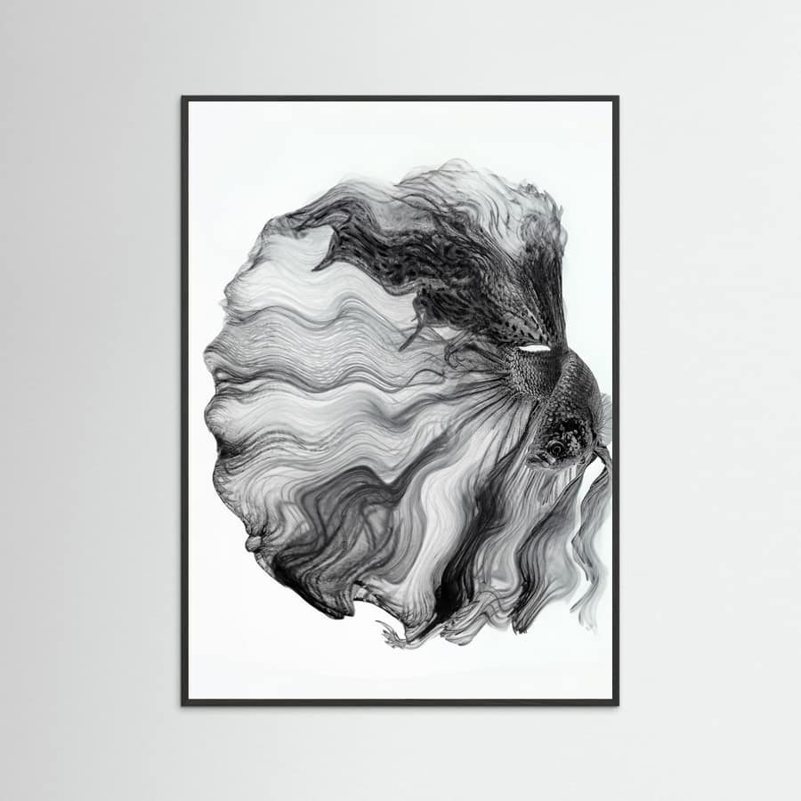 Plakat INK BETTA – plakat i druk artystyczny
