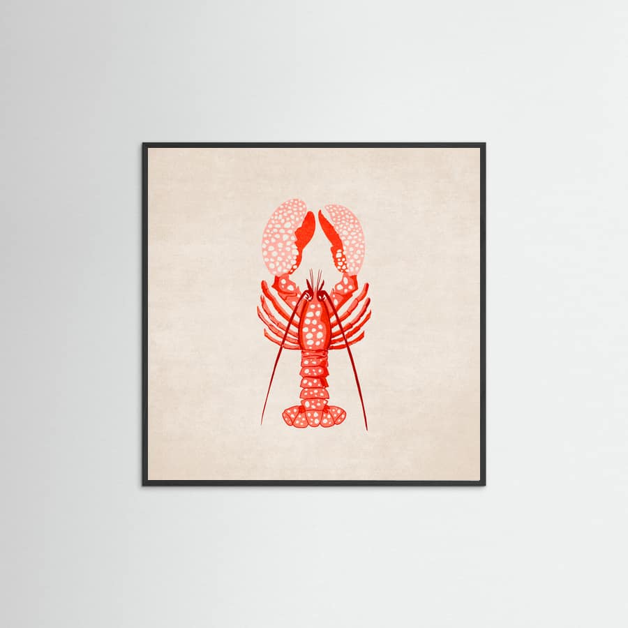 Poster Istakoz – poster e stampa artistica