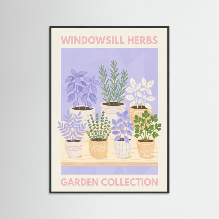 Black Wood Lavender Blooms