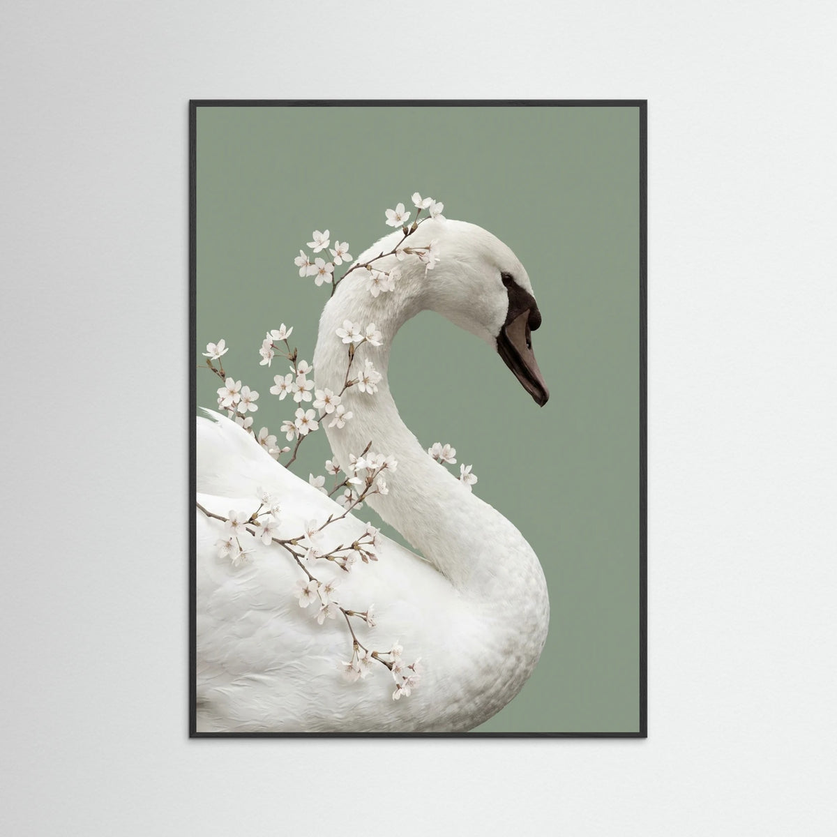 Black Wood Lilys Whisper