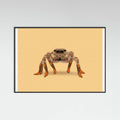 Black Wood Lydia the Leggiest Cowgirl Spider Poster