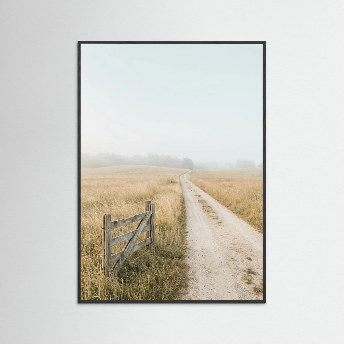 Black Wood Misty Coastal Path