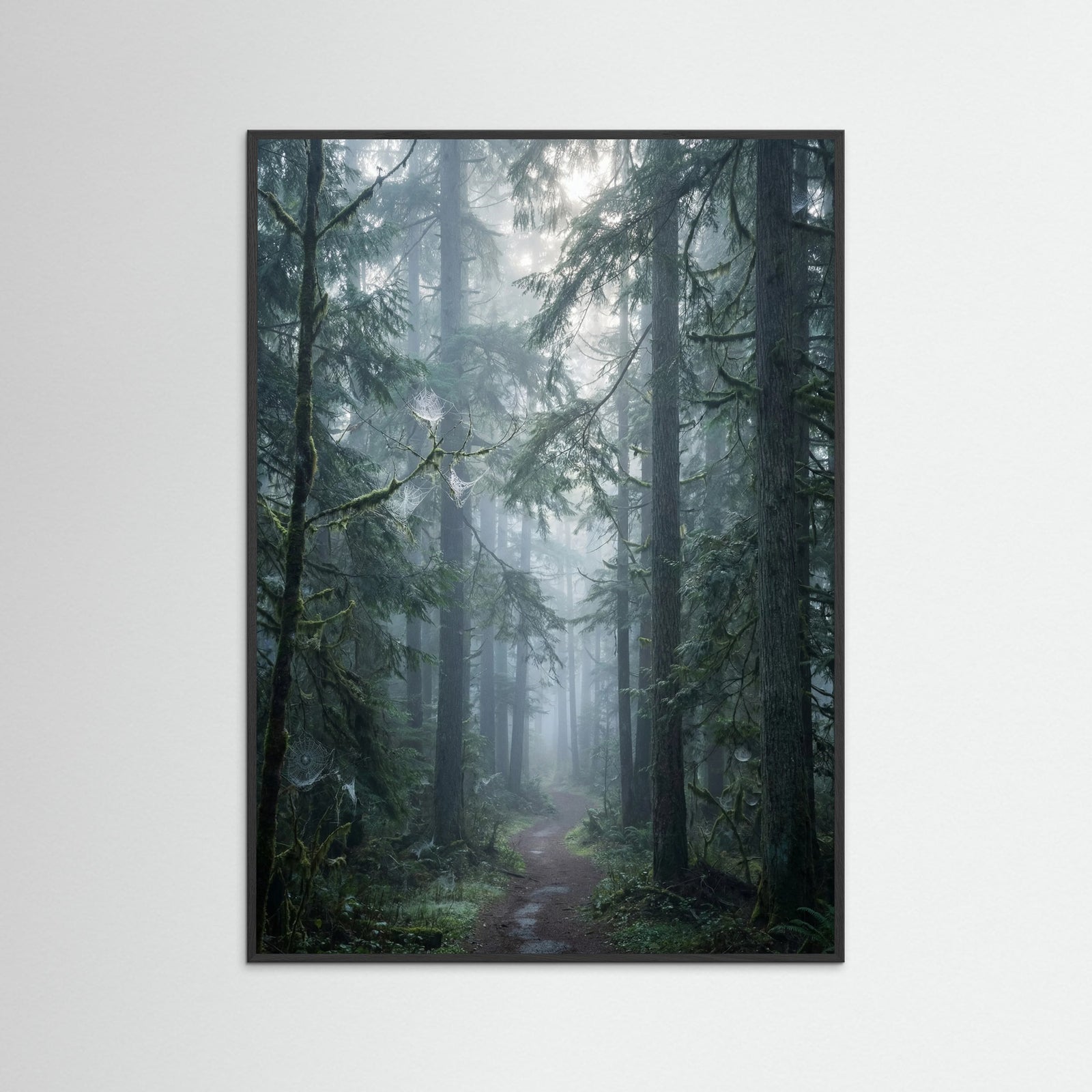 Black Wood Misty Mountain Lake Blue