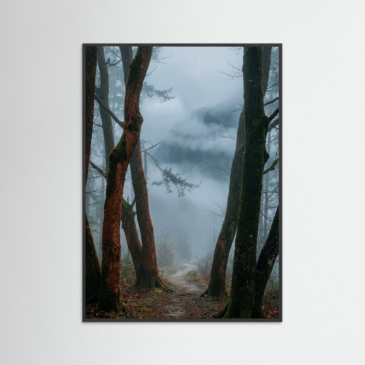 Black Wood Misty Pines