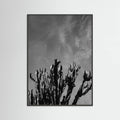 Black Wood Monochrome Cactus Sky Poster