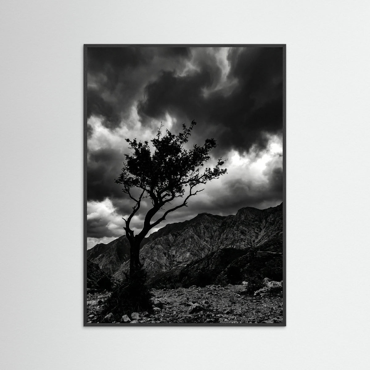 Black Wood Monochrome Seascape