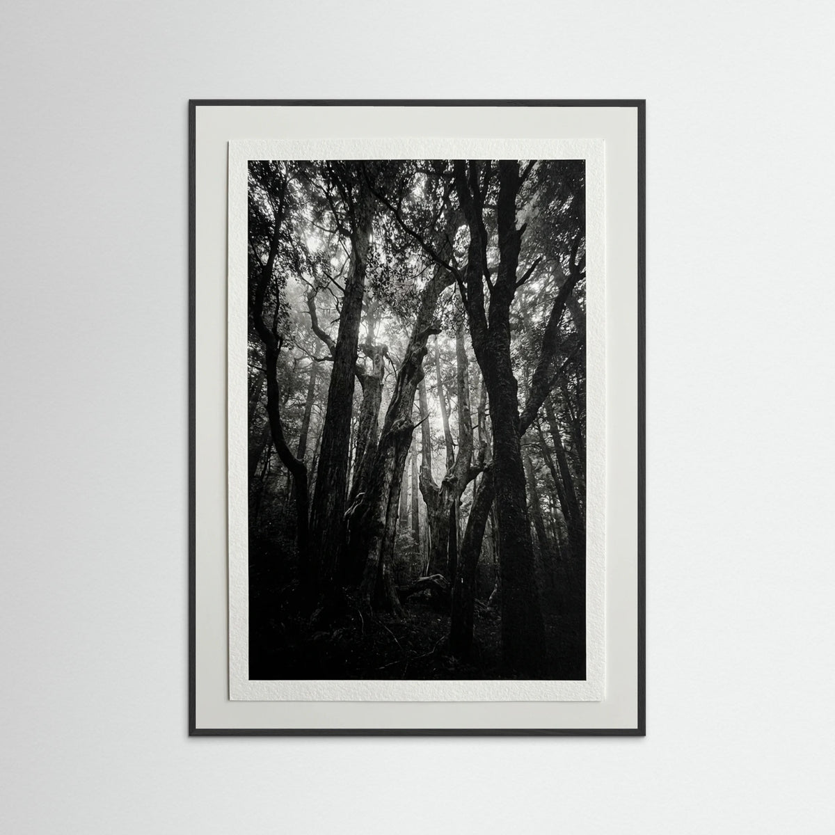 Black Wood Monolith Coast