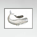 Poster Mother and Baby Sperm Whale – poster e stampa artistica
