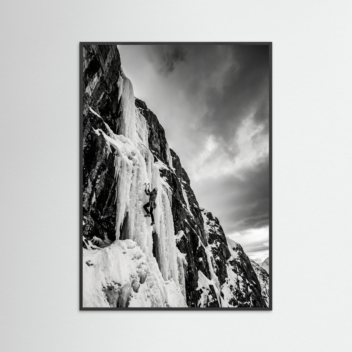 Black Wood Mountain Leap